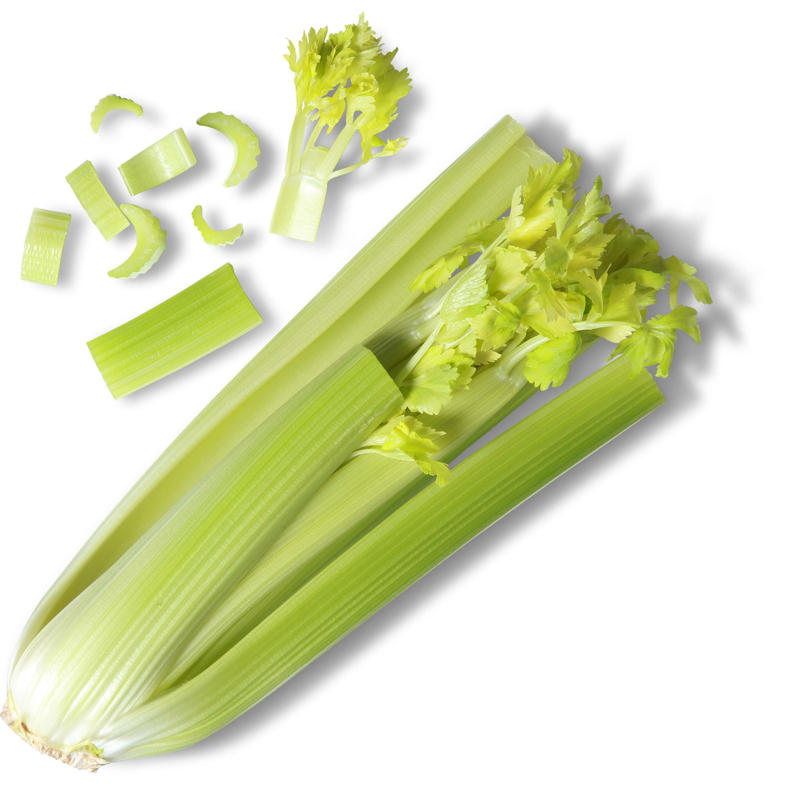Zobrazit nabídku Celer řapíkatý 
