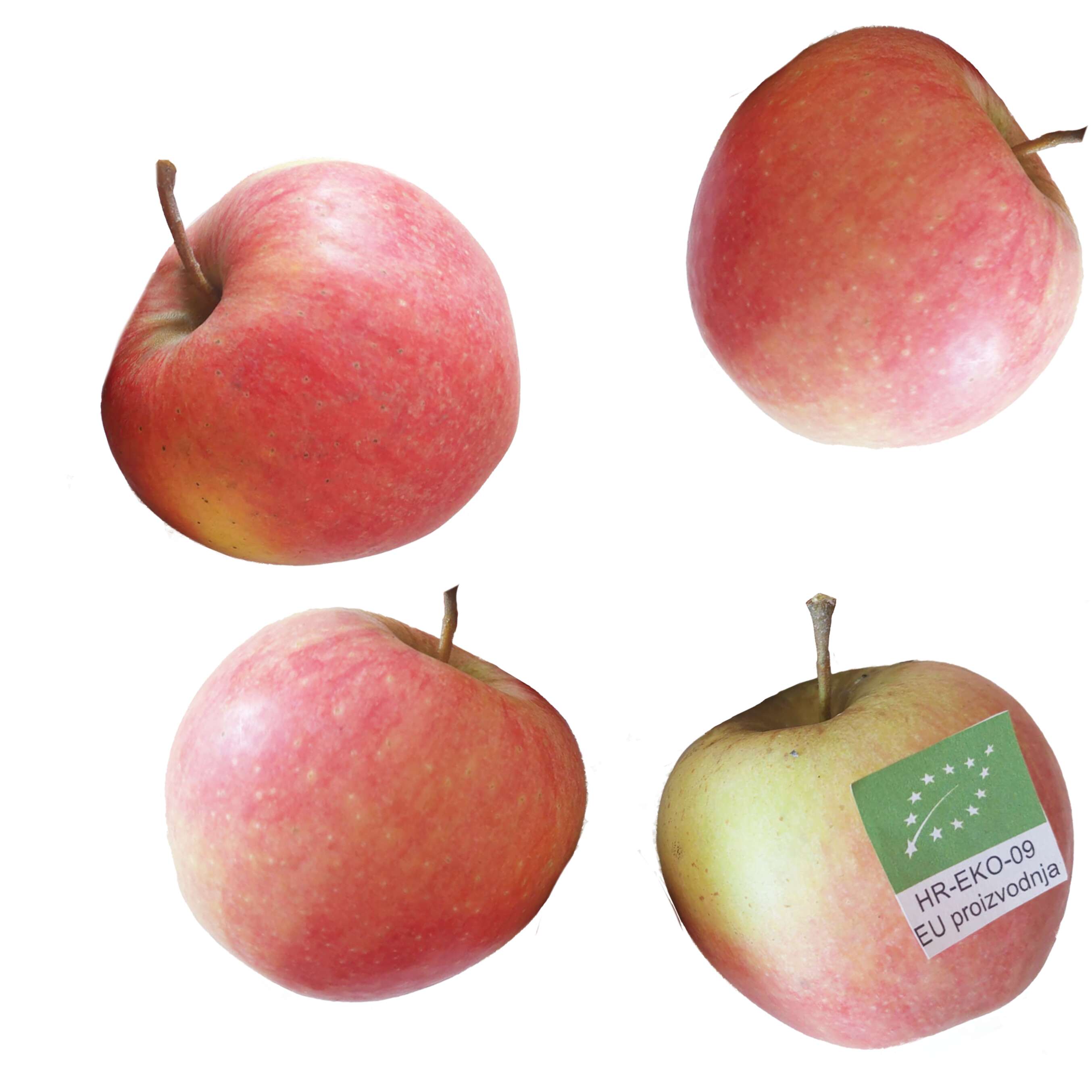 Fotografija ponude Bio jabuka 